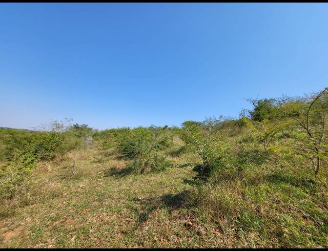 28HA VACANT LAND FOR SALE IN MANGONDI B